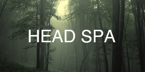 HEAD SPA